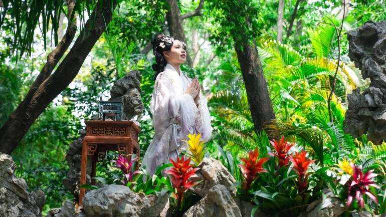 Photos | Enjoy traditional culture and orchids in Guangzhou's Yuexiu