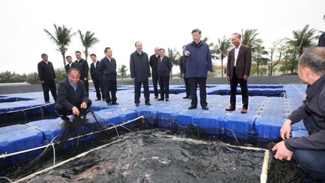 Xi inspects south China's Guangdong Province