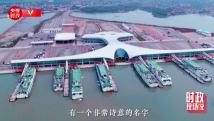 时政现场说丨“海上生明月” 广东海南跨海逐梦 时政现场说丨“海上生明月” 广东海南跨海逐梦