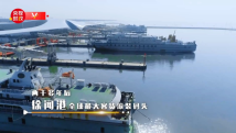 习近平广东行丨对接自贸港 共享新未来——走进徐闻港 习近平广东行丨对接自贸港 共享新未来——走进徐闻港