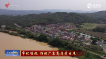 织密建强组织体系 开创基层党组织建设新局面 织密建强组织体系 开创基层党组织建设新局面