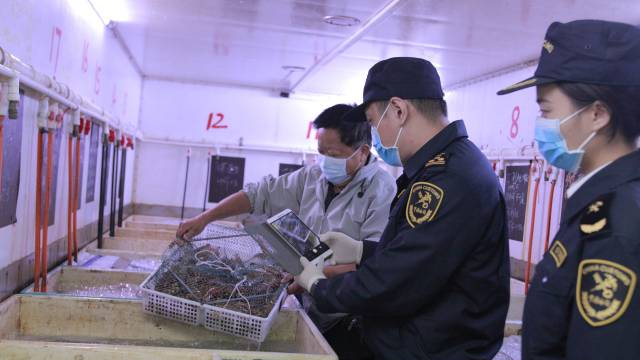 货值16亿！2021年经港珠澳大桥口岸出口水产品2.4万吨