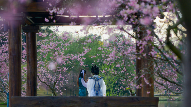 Discover Yunan County's picture-perfect floral wonderland