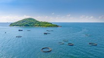 强信心 稳预期 促发展丨向深远海进发 阳江如何唱响“海洋牧歌”? 强信心 稳预期 促发展丨向深远海进发 阳江如何唱响“海洋牧歌”?