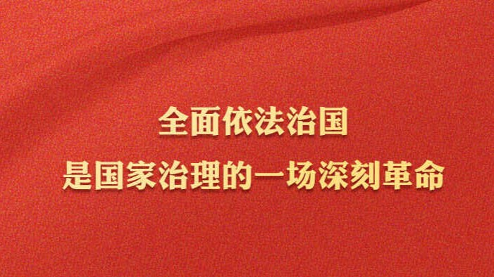 学习习近平法治思想｜坚持在法治轨道上推进国家治理体系和治理能力现代化