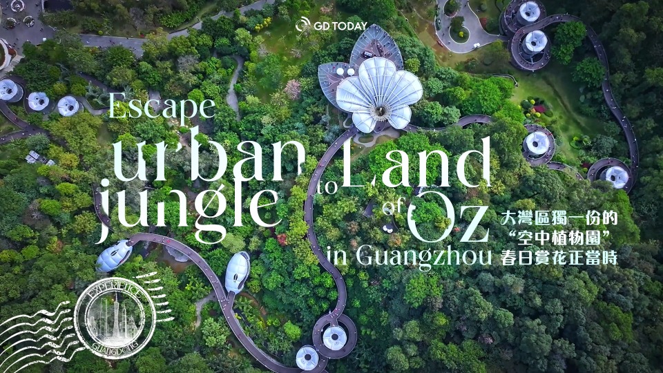 Escape the urban jungle to the "Land of Oz" in Guangzhou | Experience Guangdong