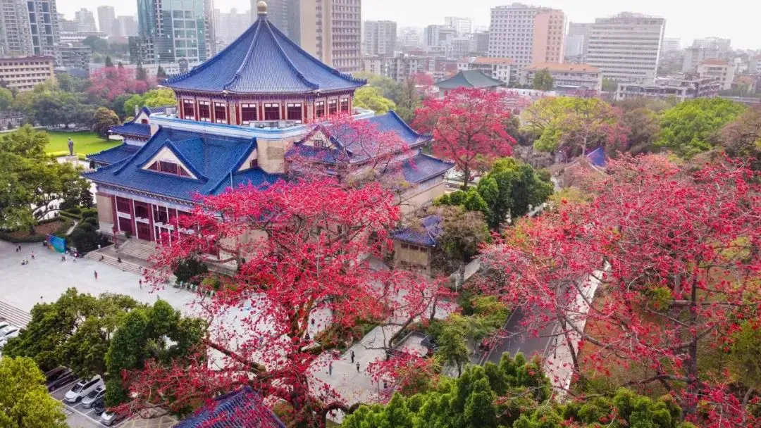 中山纪念堂木棉花开（来源：广东省人民政府地方志办公室）