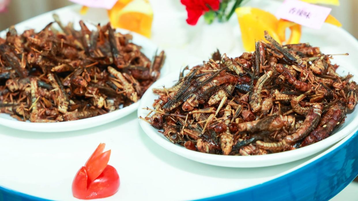 Experts call for more insects to be put on the menu