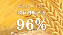 全国夏粮小麦陆续成熟收获 大规模机收基本结束 全国夏粮小麦陆续成熟收获 大规模机收基本结束