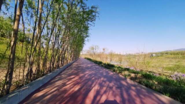 高考后可以做的60件小事（过来人版本）