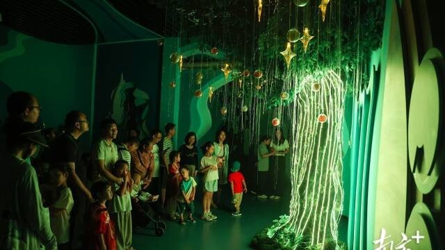 In Pics | New hotspot for kids! Zhongshan Ecological Civilization Experience Hall gains popularity
