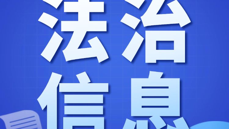 机场集团统筹联动聚合力 法治赋能显成效