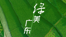 广东人专属的两会壁纸来咯 广东人专属的两会壁纸来咯