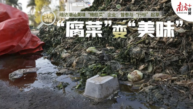 315调查丨“腐菜”变“美味”？这家橄榄菜“行标”起草企业生产环境触目惊心