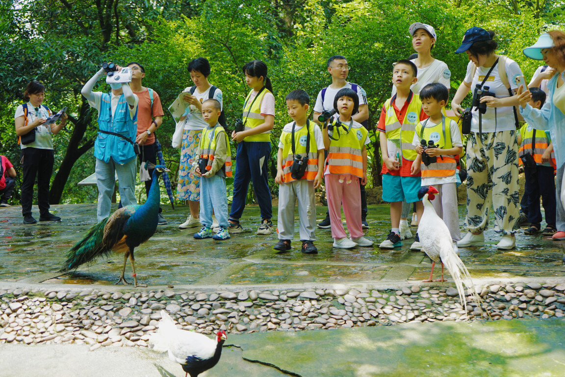 自然教育活动(通讯员供图)