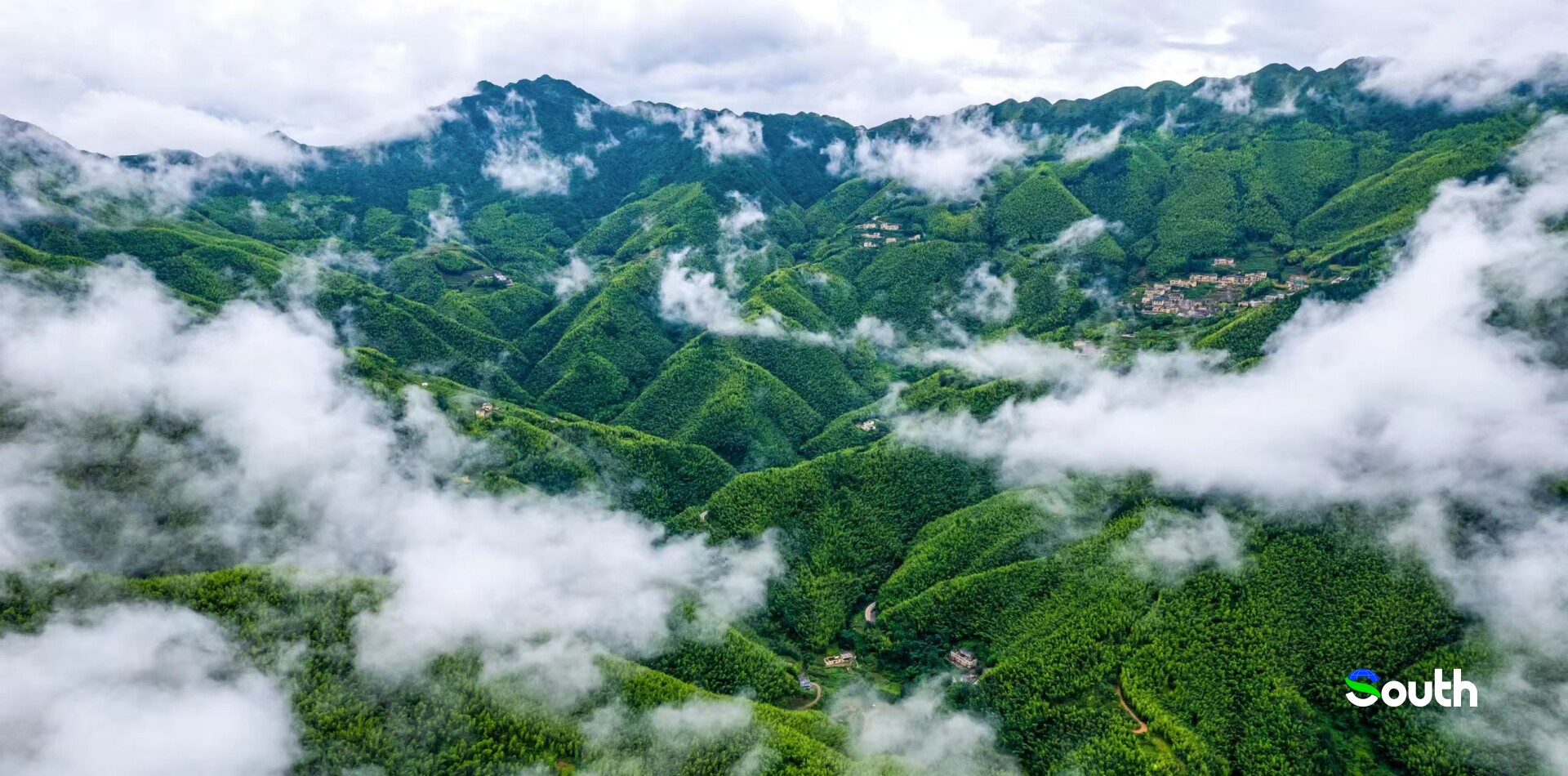 Ma'an Bamboo Sea boasts rich ecological resources. Photo by Gao Gan