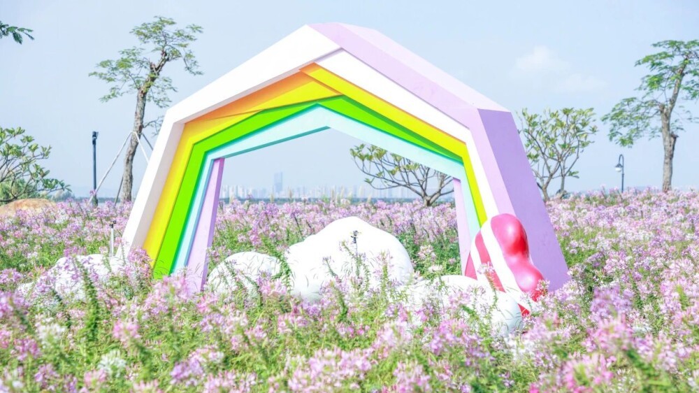 In Pics | Hengqin's 15,000㎡ flower field in full bloom