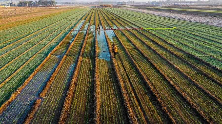 China issues action plan to speed up agricultural modernization