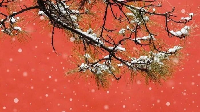 没人能拒绝雪后的故宫，来看鹅毛大雪里的金瓦红墙