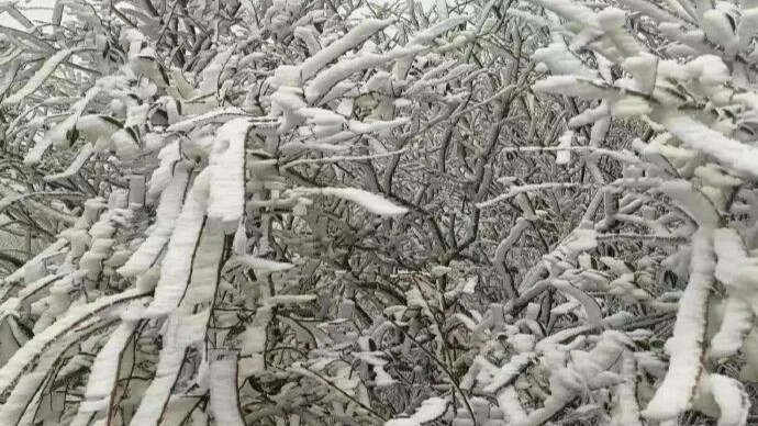 Strong cold front to hit Guangdong from Jan. 20, bringing -4°C and potential sleet