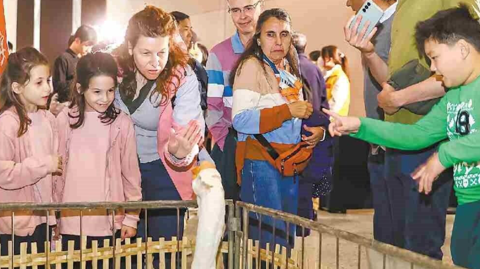 进军海外市场！汕头狮头鹅全产业链产值突破100亿元