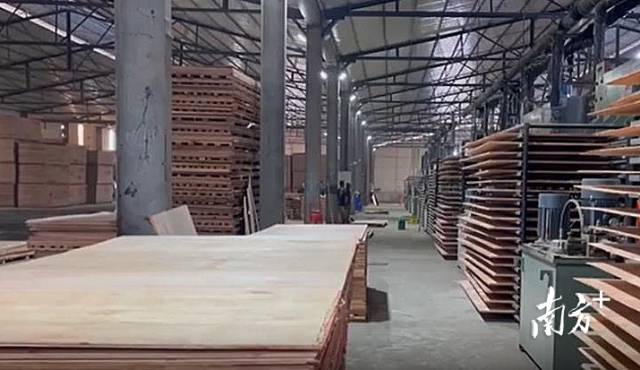 加蓬首都利伯维尔的恩考克经济特区，多家中国企业从事木材加工与贸易。
