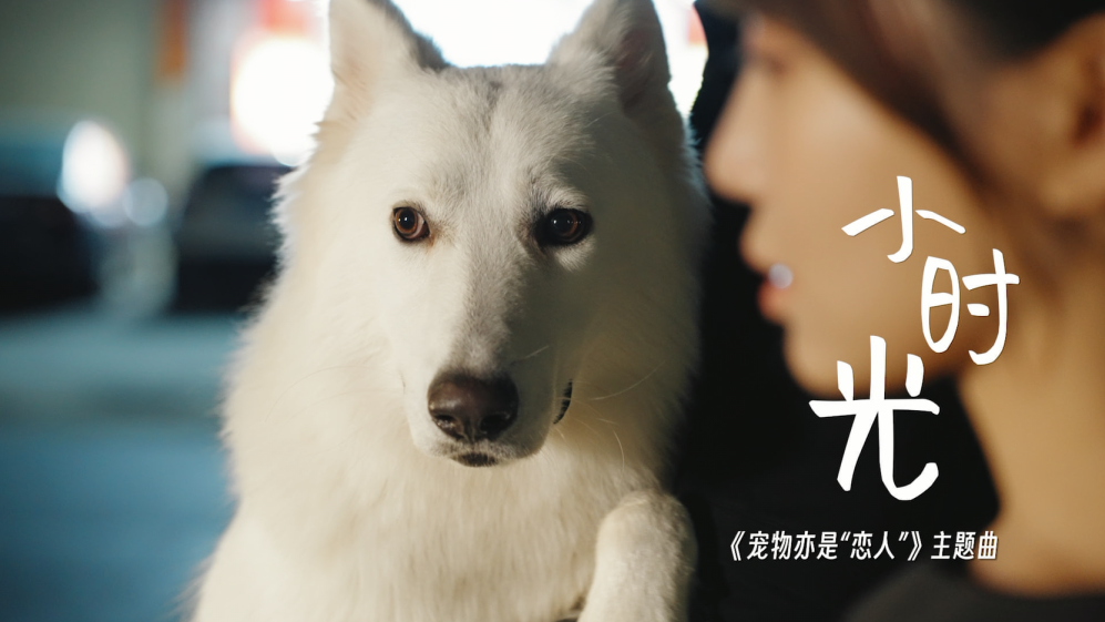 好听！《宠物亦是“恋人”》发布主题曲MV《小时光》