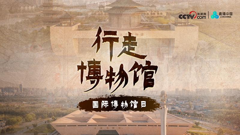 慢直播丨行走博物馆