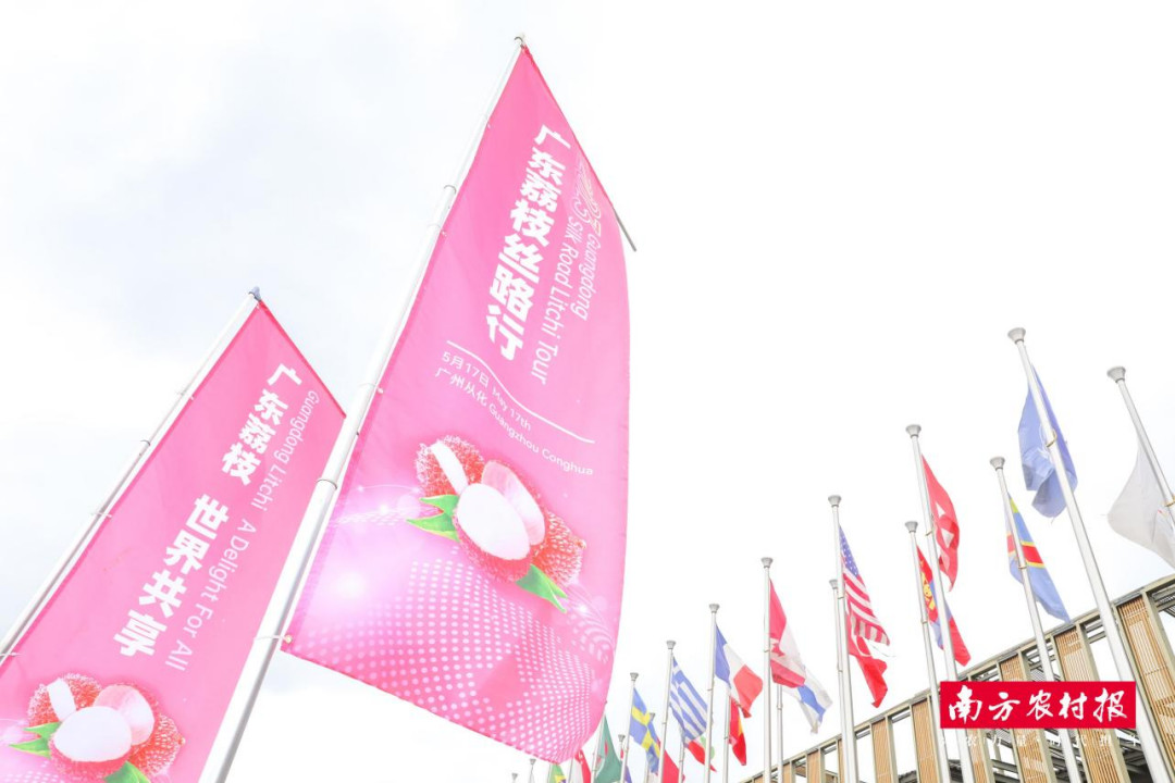 Guangdong seeks to further expand global presence of Litchi