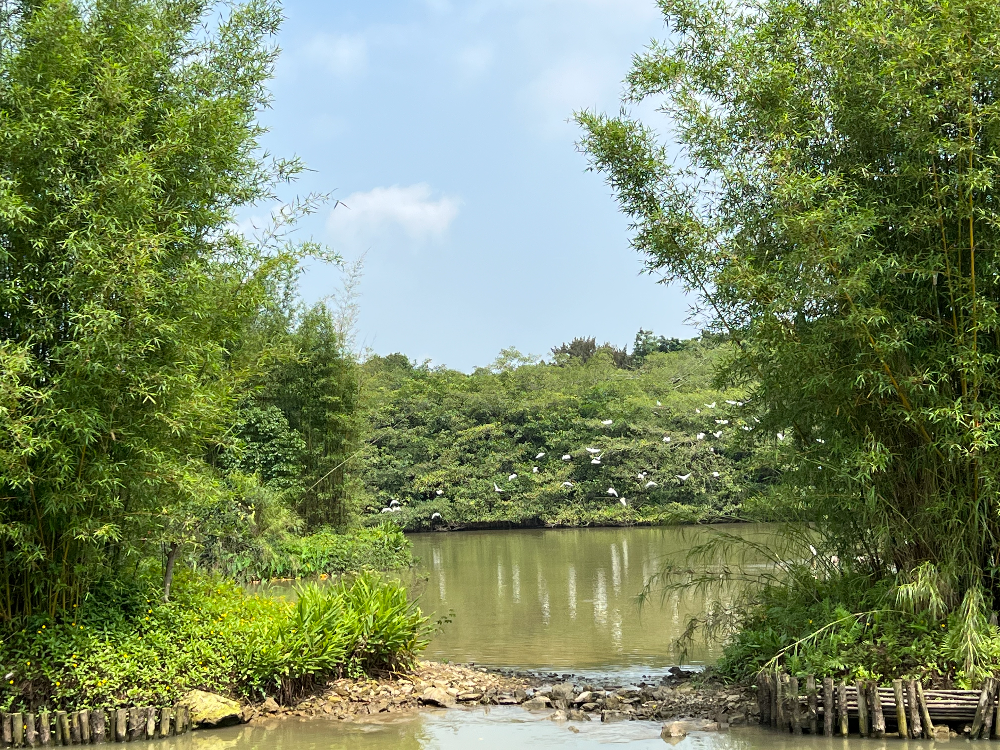 小鸟天堂国家湿地公园