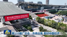 第133届广交会:外商云集 看好中国经济 第133届广交会:外商云集 看好中国经济