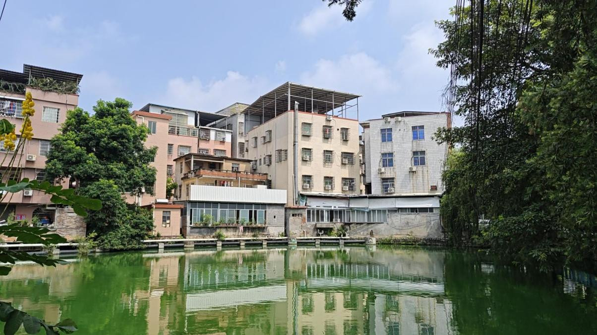 天鹿南路沿线建筑外立面提升前