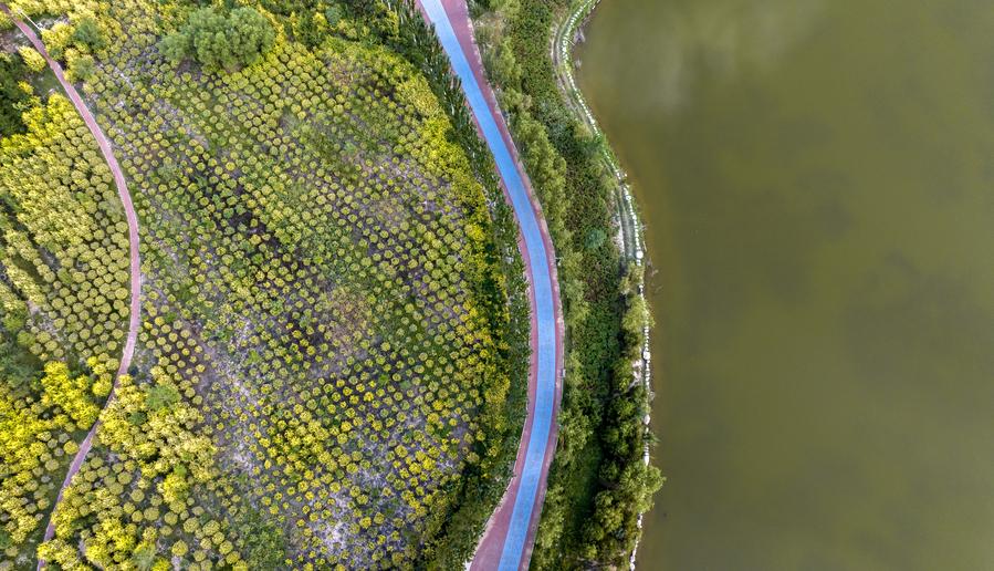 China unveils 2025-2030 plan to promote healthy environments