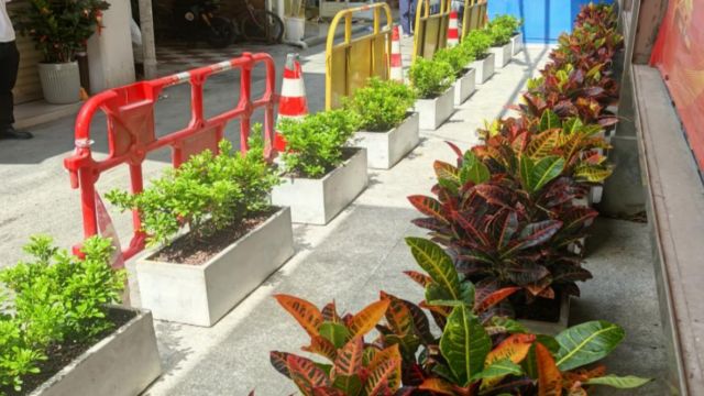 广州越秀人大：代表牵线添新绿，居民见证街巷旧貌换新颜