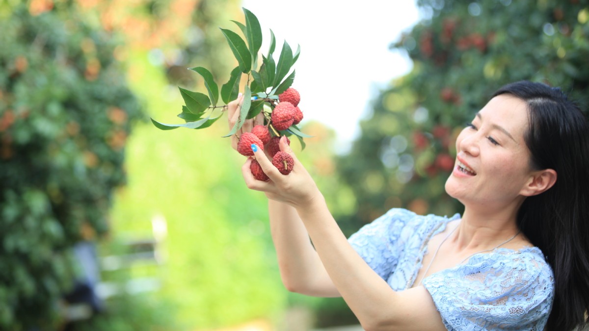 Guangdong's lychee exports up sharply in Q2