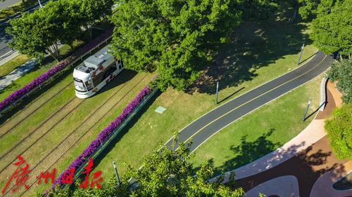 海珠琶洲阅江路碧道