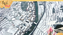 大雪,“枫”景与君赏 大雪,“枫”景与君赏