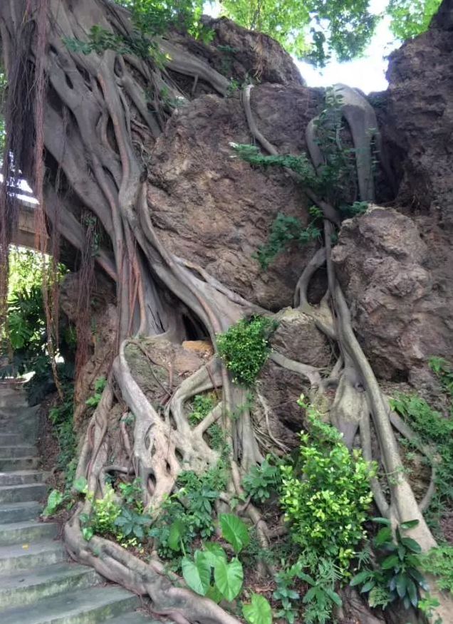 狮山松岗石碣村“古海岸遗址”。经考古学家确认，四千多年前，这里曾经是珠三角海洋的北岸。