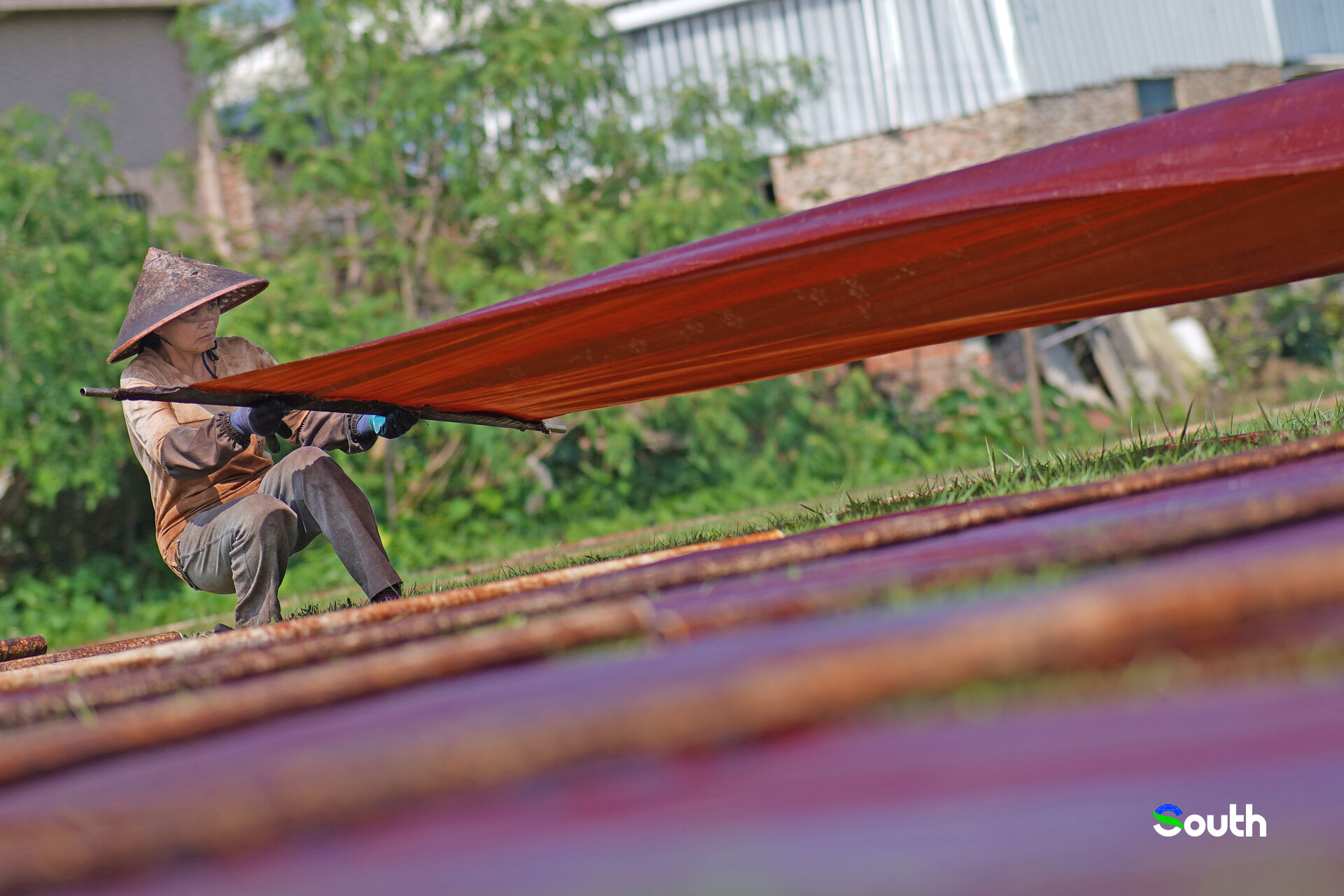 Caption 3:Gambiered Guangdong Silk production process in Nanhai 