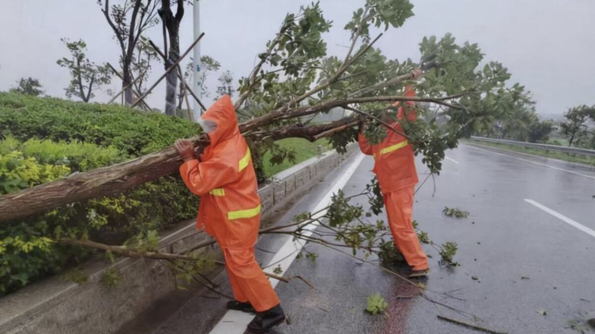 Typhoon Mitag makes landfall in South China's Guangdong, forcing school closures, transport halts