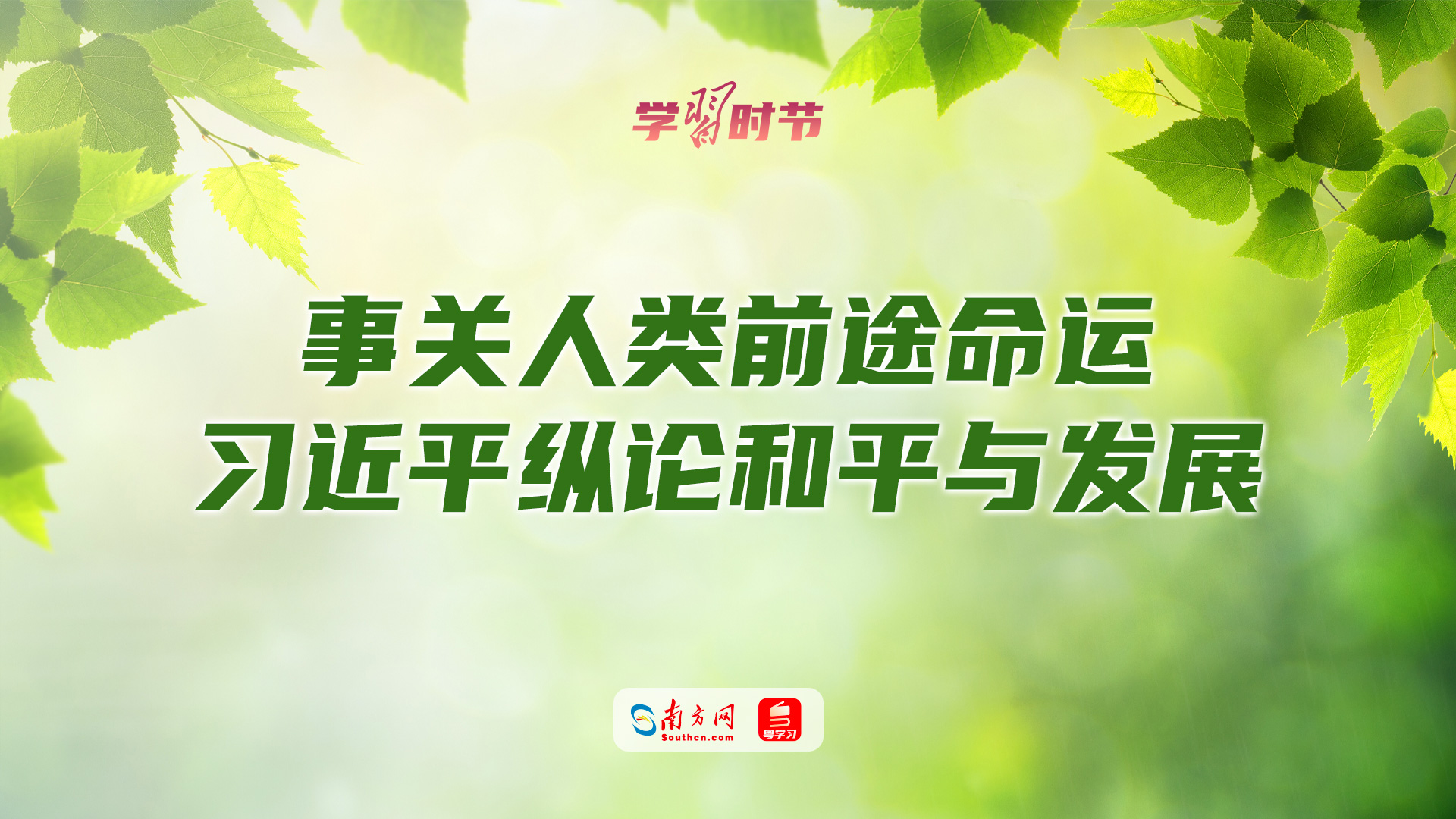 学习时节｜事关人类前途命运，习近平纵论和平与发展