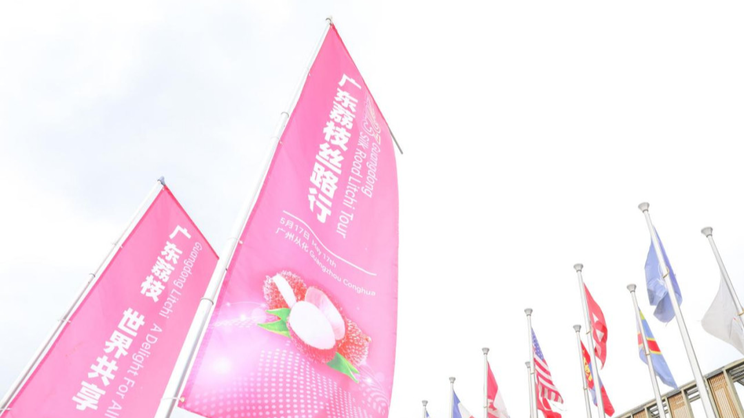 Guangdong seeks to further expand global presence of Litchi