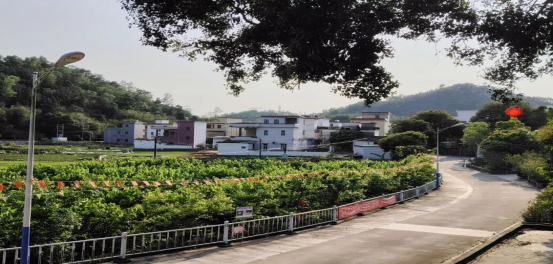 云城区安塘街：芳菲四月，遇见最美都栗村