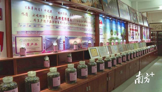 化州市化橘红中药文化非遗工坊（图片来源：南方+）