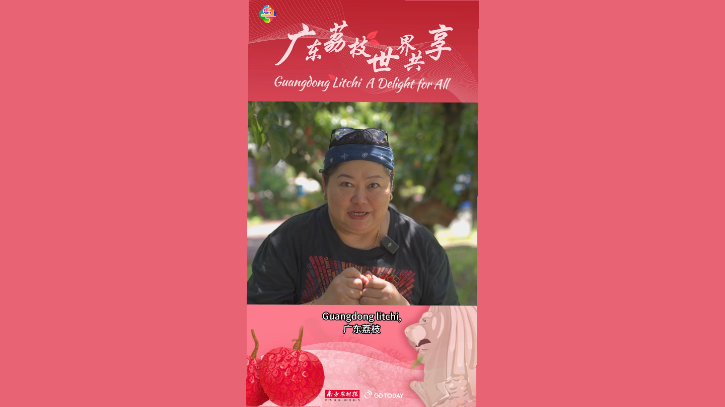 Come and taste fresh Guangdong litchi in Singapore: VP of SingCham Guangdong