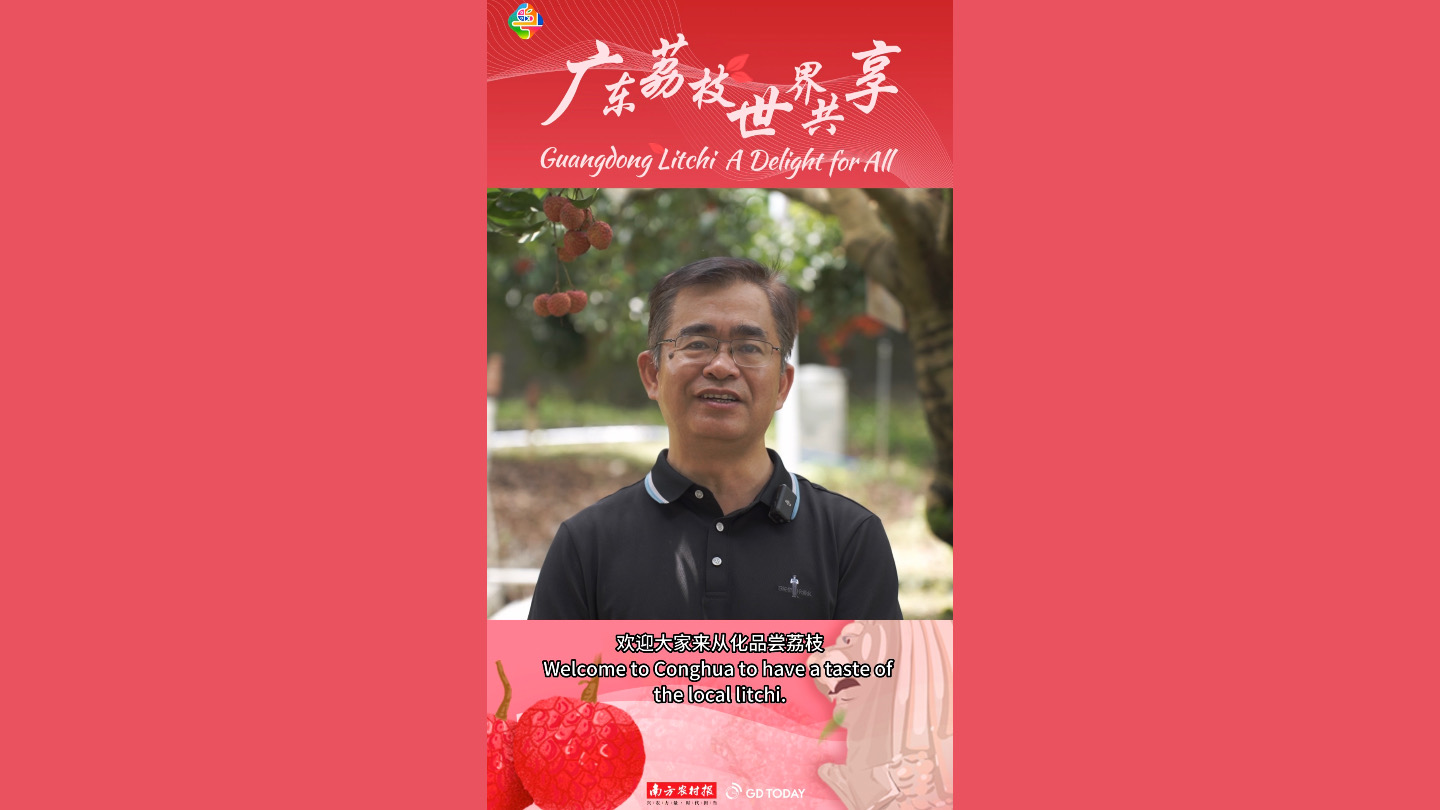 Guangdong litchi awaits you to enjoy in Singapore