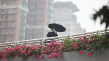 雨水又来了！广东14-15日有较明显降雨