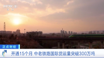 中老铁路已开通运营15个月 国际货运总量突破300万吨 中老铁路已开通运营15个月 国际货运总量突破300万吨