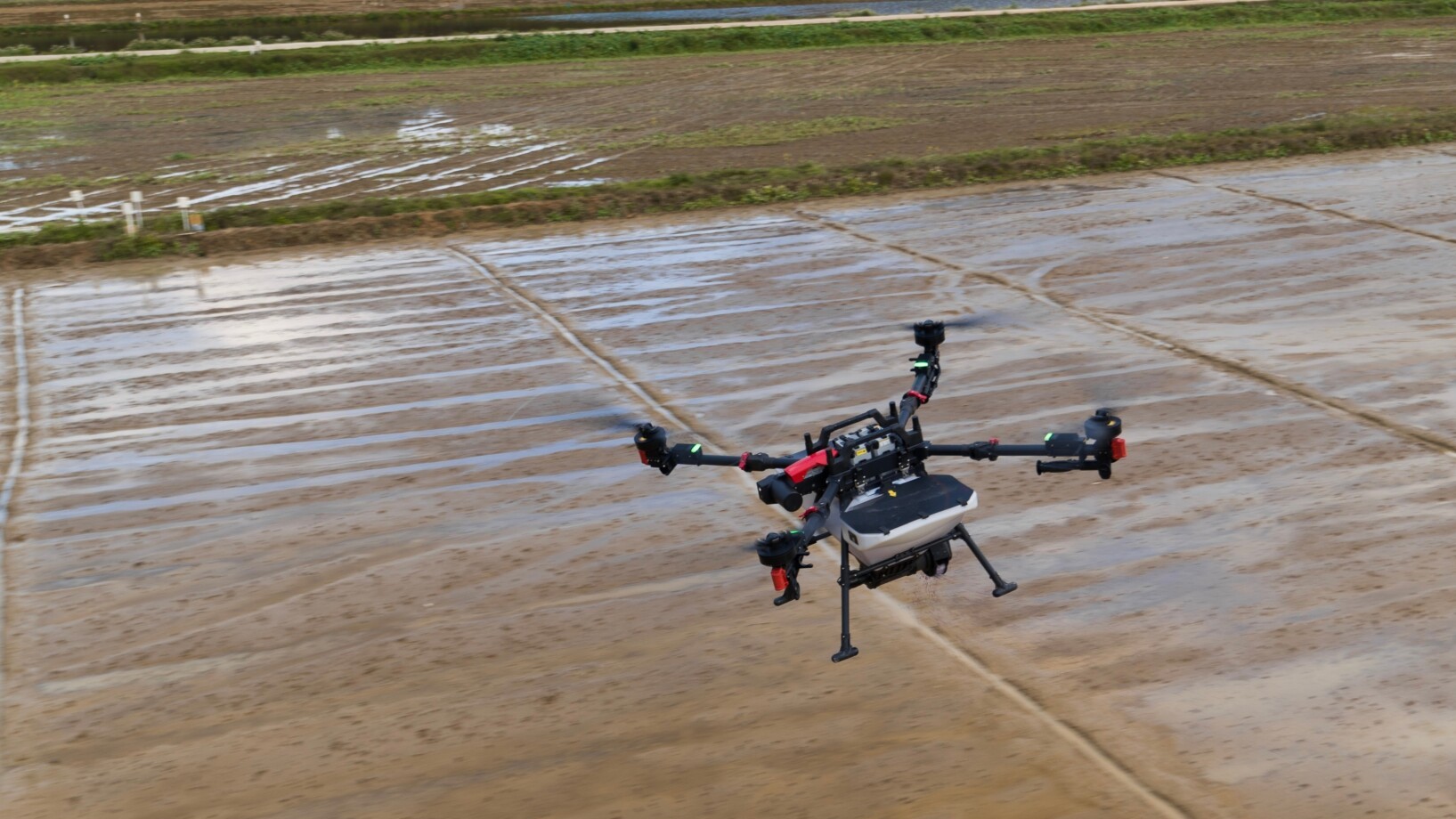 Guangdong adds 61 new 'championship' enterprises