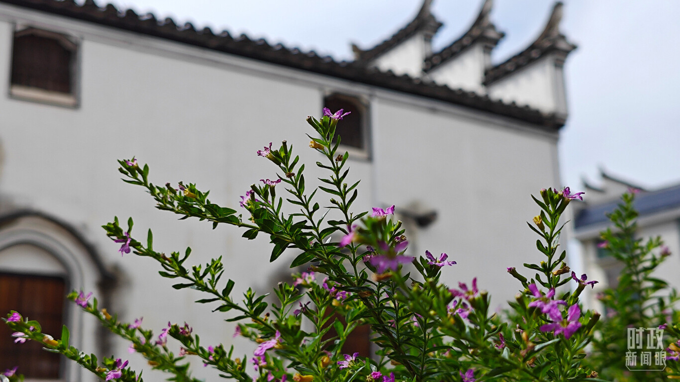 李祖村。（总台央视记者许永松拍摄）